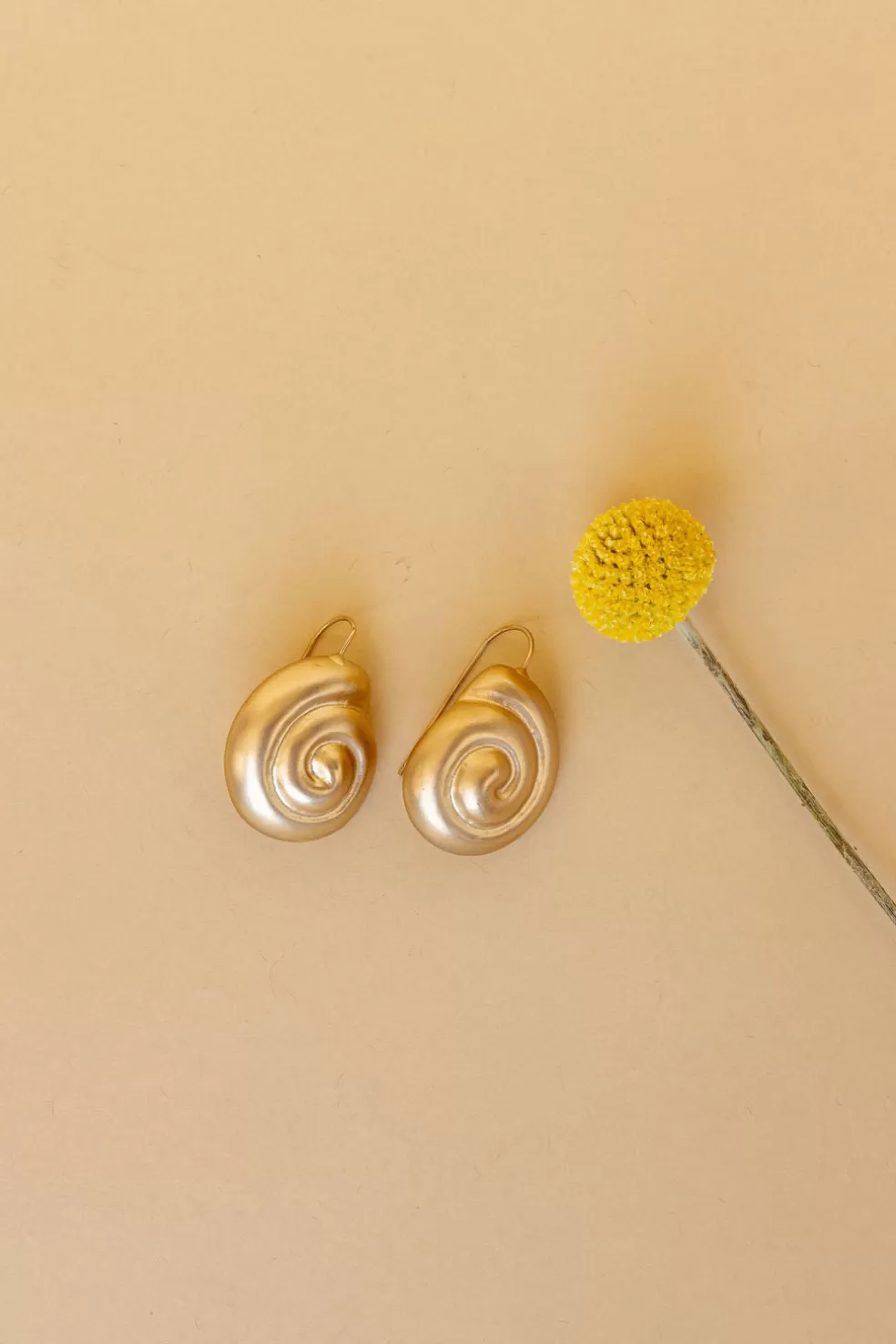 GOLD | BEST SELLERS>Casa Clara Nautilus Earring
